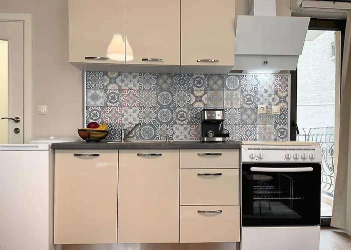 Centre Apt. With Parking For 4 Guests * 普罗夫迪夫