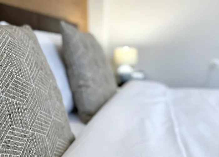 Centre Apt. With Parking For 4 Guests * 普罗夫迪夫