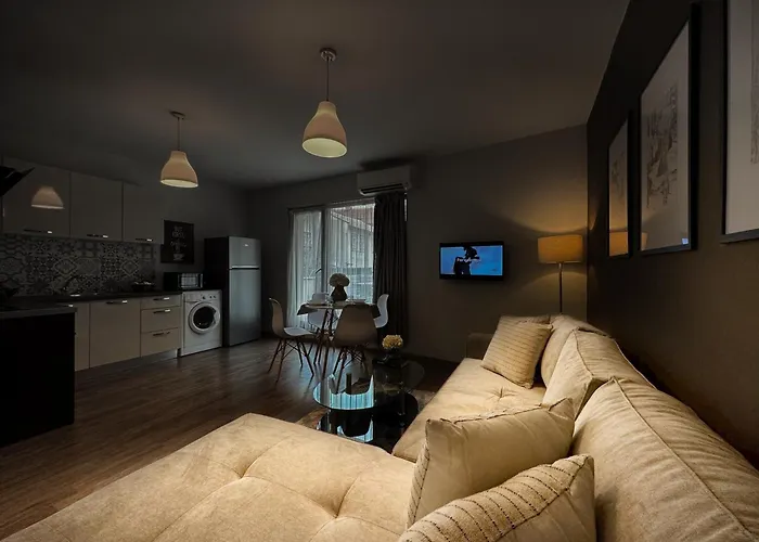 Centre Apt. With Parking For 4 Guests 普罗夫迪夫